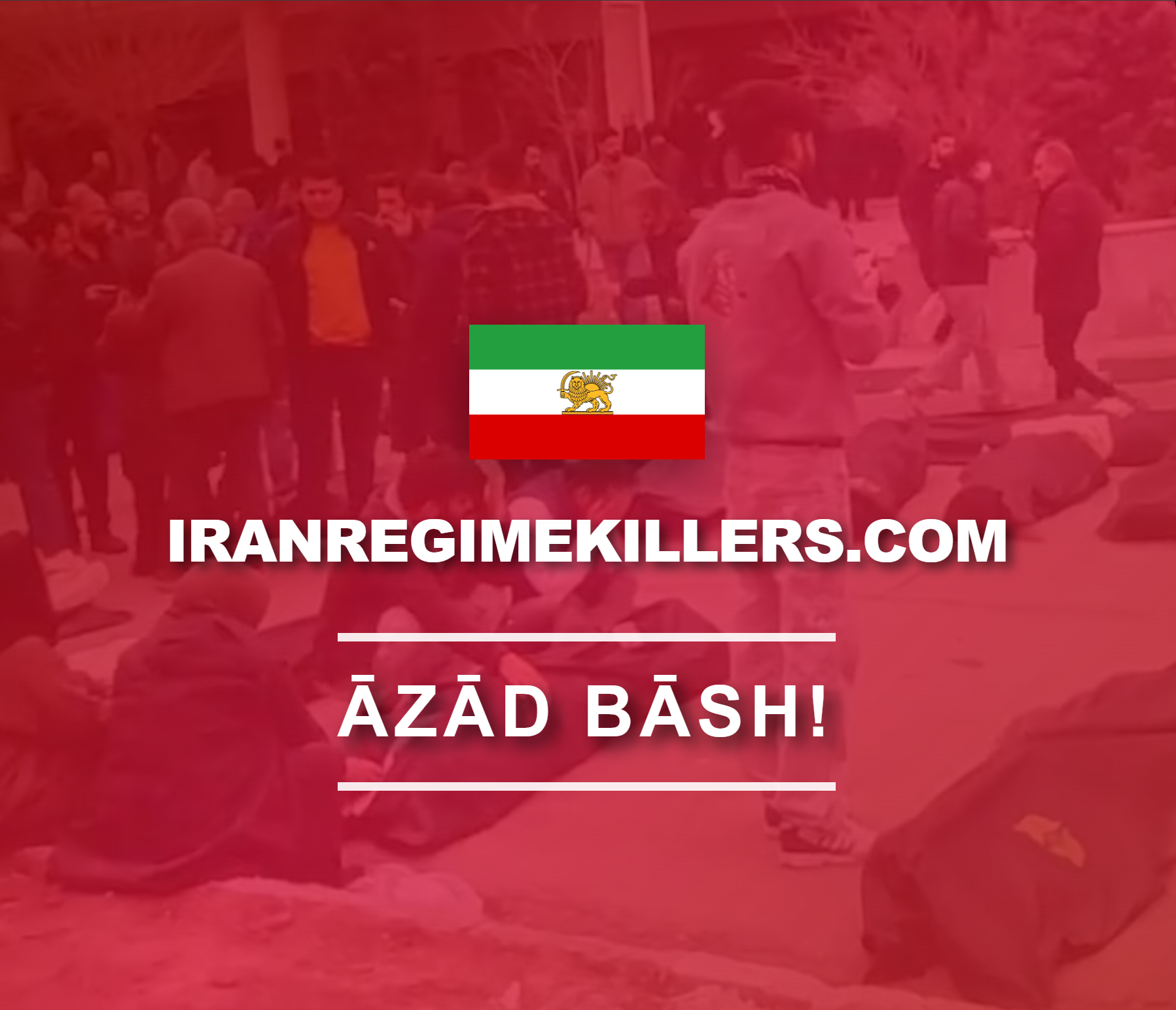 Lion and Sun Resistance Sticker